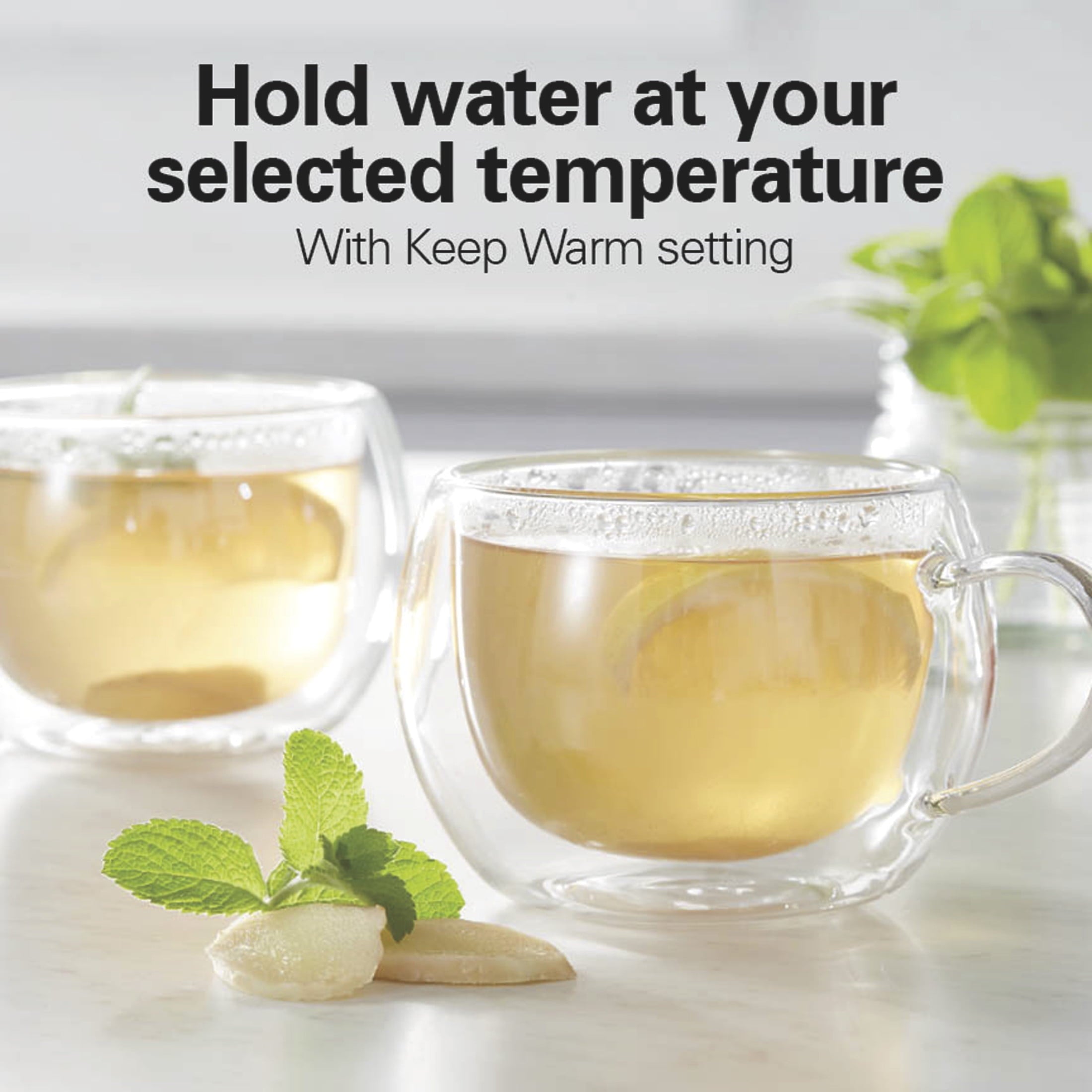 Hamilton Beach Temperature-Control Electric Glass Kettle, Tea & Water Kettle, 1.7L with Auto Shutoff and Ultra-Fast Heating