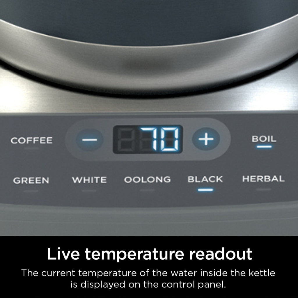 Ninja Precision Temperature Electric Kettle with 7 Presets and Rapid Boil, 7-Cup Capacity, Blue Stainless